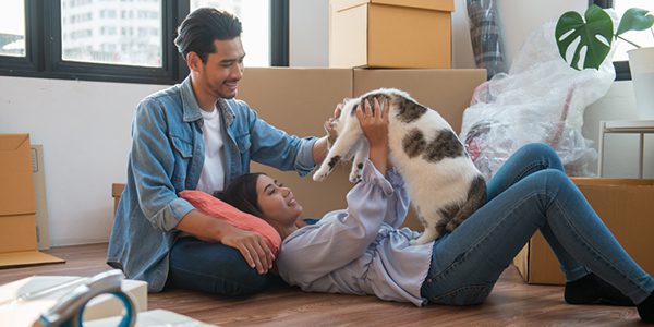 A young couple adorns their pet while preparing to move with a cat.