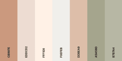 How to Choose a Color Scheme for your House