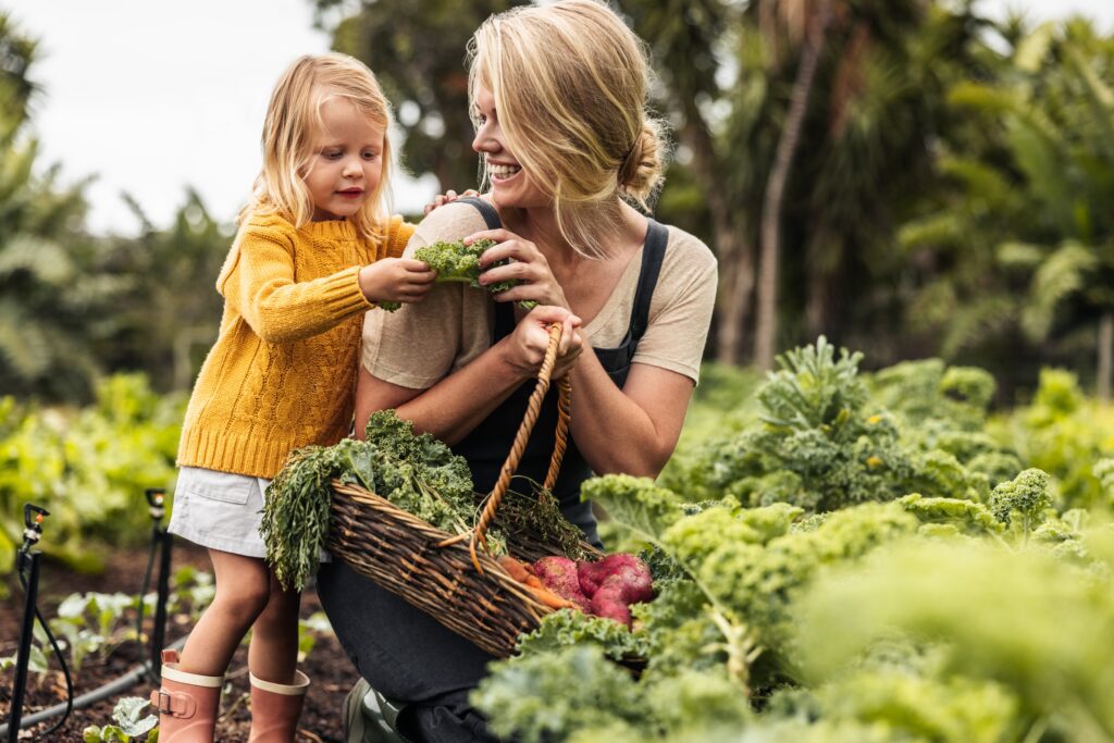 Harvest Storage Tips: Efficient Ways to Preserve and Organize Fresh Produce